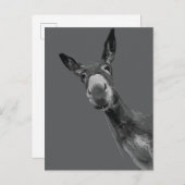 Carte Postale Funky Donkey Grayscale Art (Devant / Derrière)