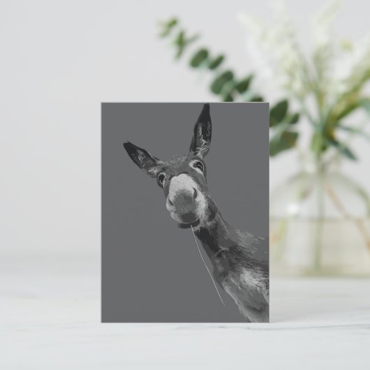 Carte Postale Funky Donkey Grayscale Art (Debout devant)