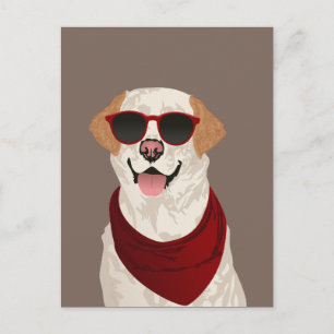 Carte Postale Funky Labrador Retriever pour Amoureux de les chie