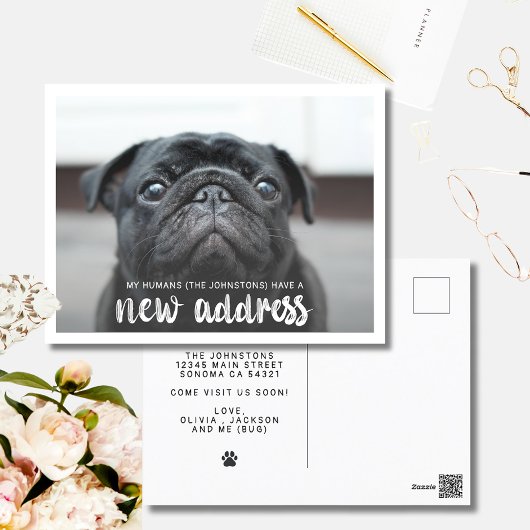 Carte Postale Funky Modern Nouvelle Adresse Animaux de compagnie