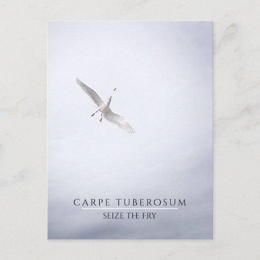 Carte Postale Funky Motivational Seagull Carpe Diem French Fries (Devant)