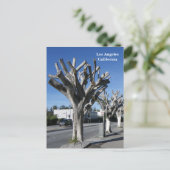 Carte Postale Funky Tree Los Angeles Postcard! (Debout devant)