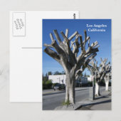 Carte Postale Funky Tree Los Angeles Postcard! (Devant / Derrière)