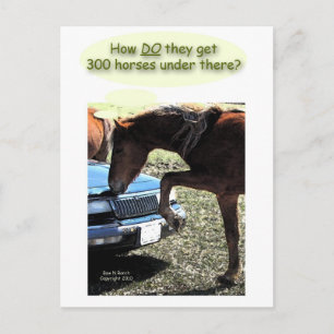 Carte Postale Funny 300 Horse Car