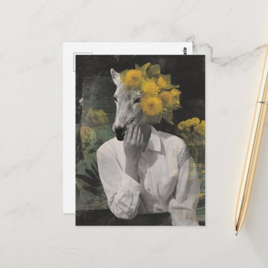 Carte Postale Funny Adorable Animal Femme Collage (Devant/Arrière en situation)