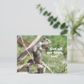 Carte postale Funny Angry Squirrel (Debout devant)