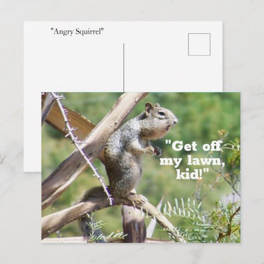 Carte postale Funny Angry Squirrel (Devant / Derrière)