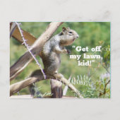 Carte postale Funny Angry Squirrel (Devant)
