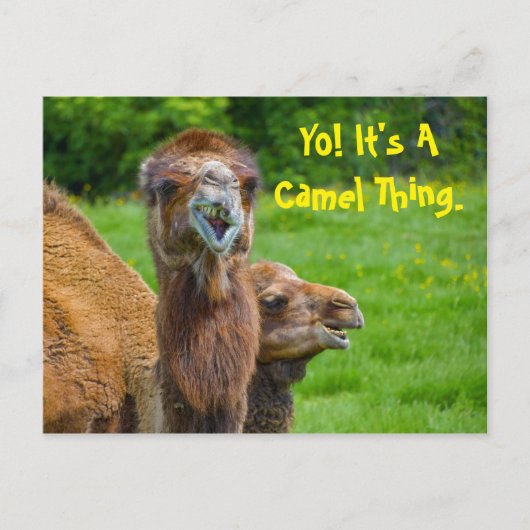 Carte Postale Funny Camel Animal (Devant)
