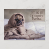 Carte postale Funny Carlin Dog