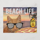 CARTE POSTALE FUNNY CAT BEACH LIFE (Devant)