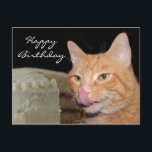 Carte Postale Funny cat Birthday<br><div class="desc">Orange chat tabby lèche ses côtelettes à un gâteau d'anniversaire photo carte postale</div>