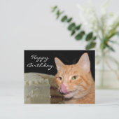Carte Postale Funny cat Birthday (Debout devant)