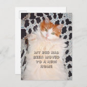 Carte Postale Funny Cat Cute Moving Nouvelle adresse (Devant / Derrière)