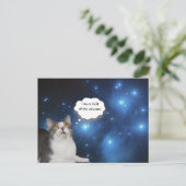 Carte Postale Funny Cat Star Gazer (Debout devant)