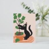 Carte Postale Funny Chat Fig Tree Poted Plante main tiré (Debout devant)
