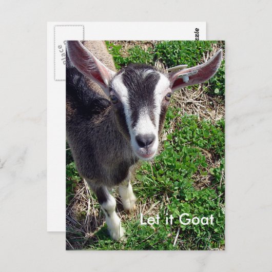 Carte Postale Funny Chèvre Parody (Devant / Derrière)