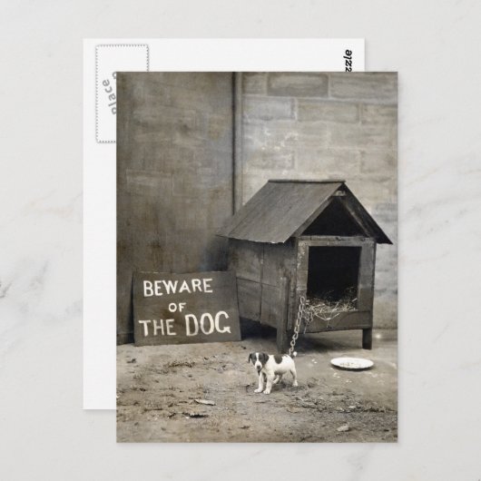 Carte Postale Funny Chien affiches (Devant / Derrière)