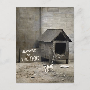 Carte Postale Funny Chien affiches