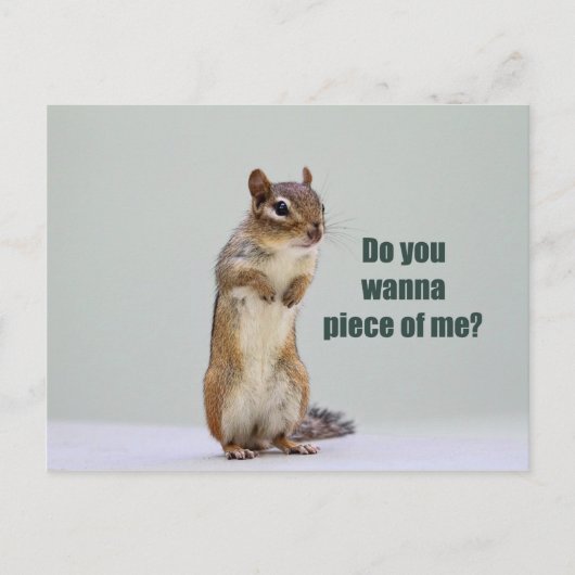 Carte Postale Funny Chipmunk Photo (Devant)