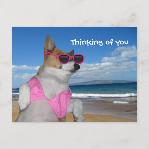 Carte Postale Funny Corgi Bikini