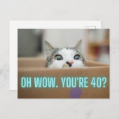 Carte Postale Funny Curious Chat 40e anniversaire (Devant / Derrière)