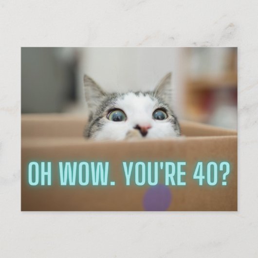 Carte Postale Funny Curious Chat 40e anniversaire (Devant)