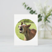 CARTE POSTALE FUNNY CUTE FOAL (Debout devant)