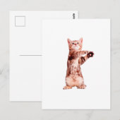 Carte Postale Funny debout chaton joueuse (Devant / Derrière)