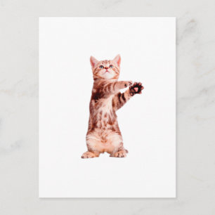 Carte Postale Funny debout chaton joueuse