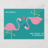 Carte Postale Funny Flamant rose bleu vert (Devant)