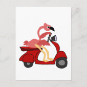 Carte Postale Funny Flamant rose rose équitation Moteur Scooter (Devant)