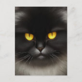 Carte Postale Funny Fluffeux noir Perse noir chaton visage (Devant)