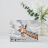 Carte postale Funny Giraffe (Debout devant)