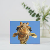 Carte postale Funny Giraffe (Debout devant)