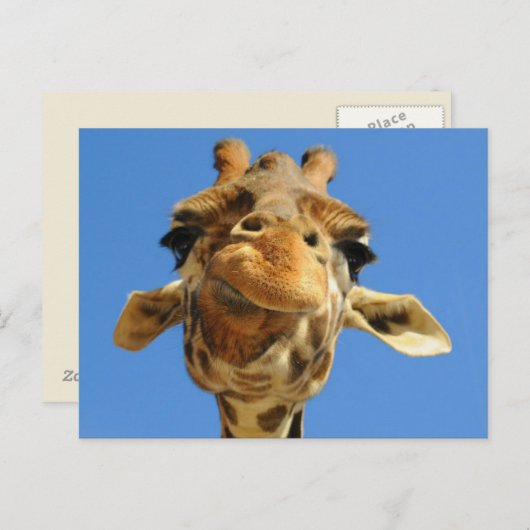 Carte postale Funny Giraffe (Devant / Derrière)