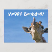 Carte Postale Funny Giraffe Joyeux anniversaire (Devant)