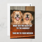 Carte Postale Funny Golden Retriever Alien Joke Mème (Devant / Derrière)