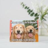 Carte Postale Funny Golden Retriever Casquette Joke Mème (Debout devant)