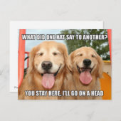 Carte Postale Funny Golden Retriever Casquette Joke Mème (Devant / Derrière)
