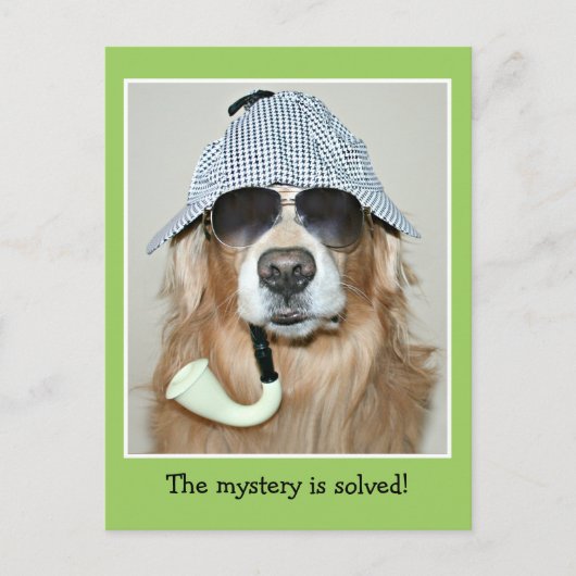 Carte Postale Funny Golden Retriever détective chien anniversair (Devant)