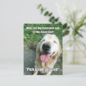 Carte Postale Funny Golden Retriever Fisherman Plaisanterie mème (Debout devant)