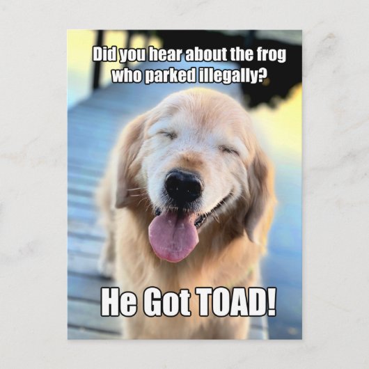 Carte Postale Funny Golden Retriever Frog Joke Mème (Devant)