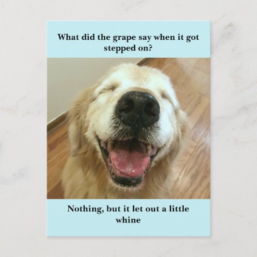 Carte Postale Funny Golden Retriever Grape Joke Mème (Devant)