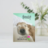 Carte Postale Funny Golden Retriever Monday devrait être faculta (Debout devant)
