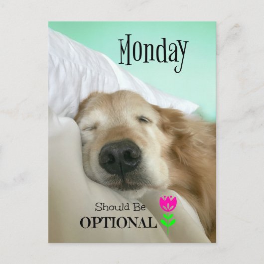 Carte Postale Funny Golden Retriever Monday devrait être faculta (Devant)