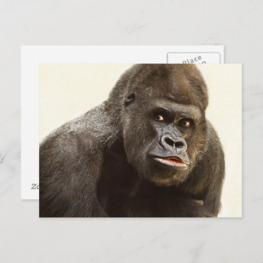 Carte postale Funny Gorilla (Devant / Derrière)