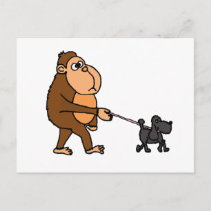 Carte Postale Funny Gorilla marcher Chien de caniche noir