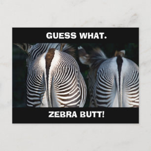 Carte Postale Funny Guess What Zebra Butt Wildlife