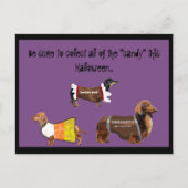 Carte Postale Funny Halloween Recueillir des bonbons Chiens (Devant)